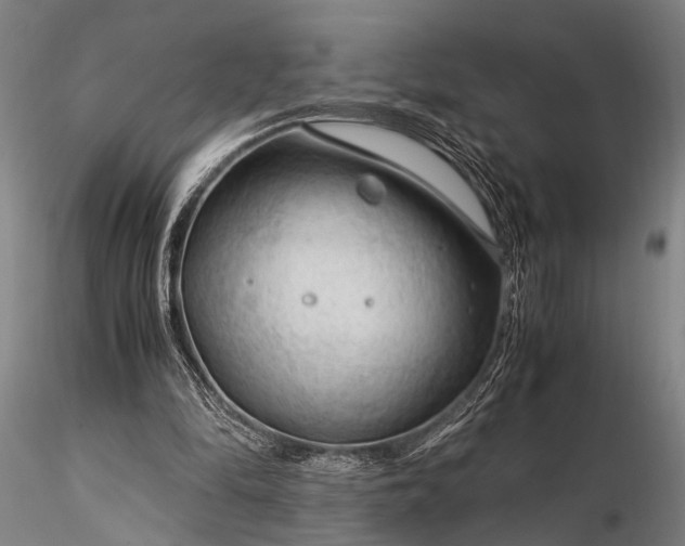 X0000116370294200912161444