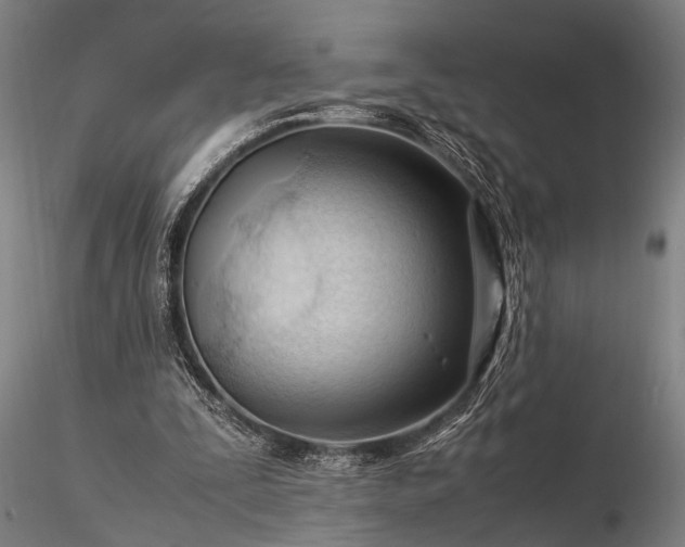 X0000116370295200912161444