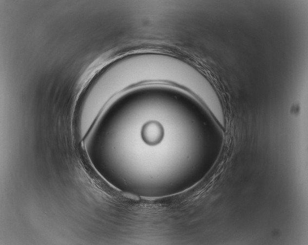 X0000116370296200912161444