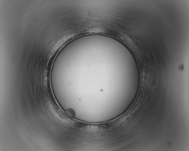 X0000116370298200912161444