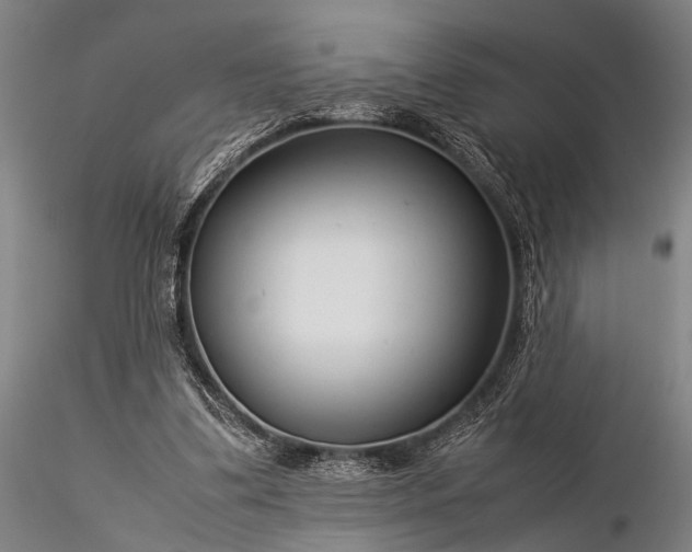 X0000116370299200912161444