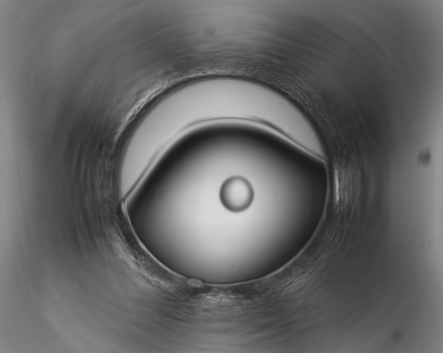 X0000116370300200912161444