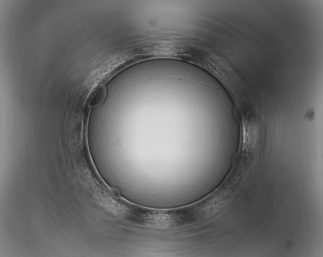 X0000116370301200912161444