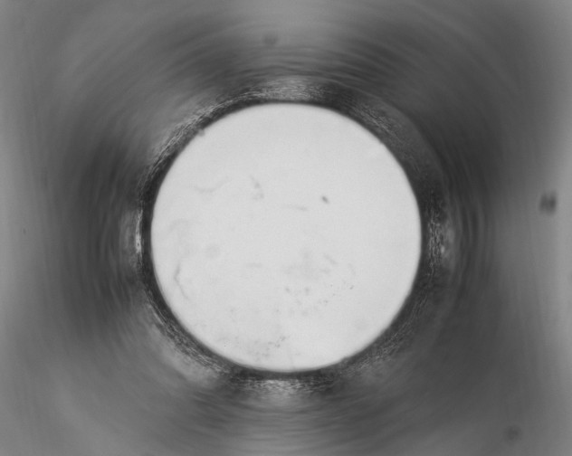 X0000116370302200912161444