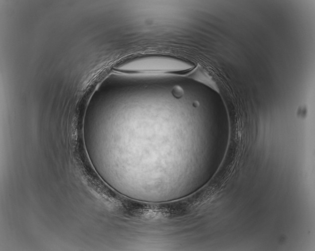 X0000116370303200912161444