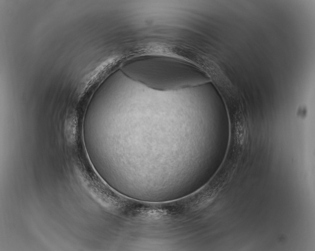 X0000116370304200912161444