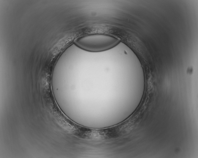 X0000116370305200912161444