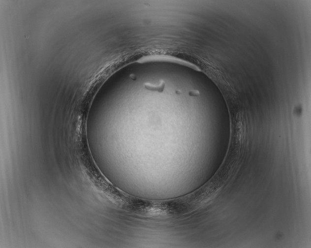 X0000116370308200912161444