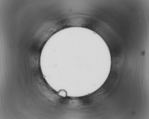 X0000116370309200912161444