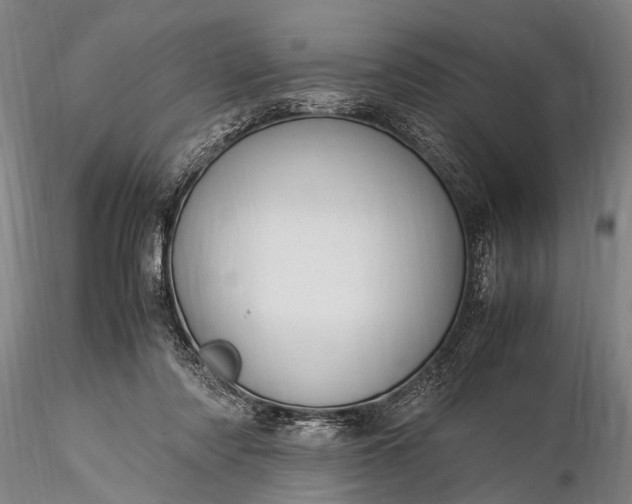 X0000116370310200912161444