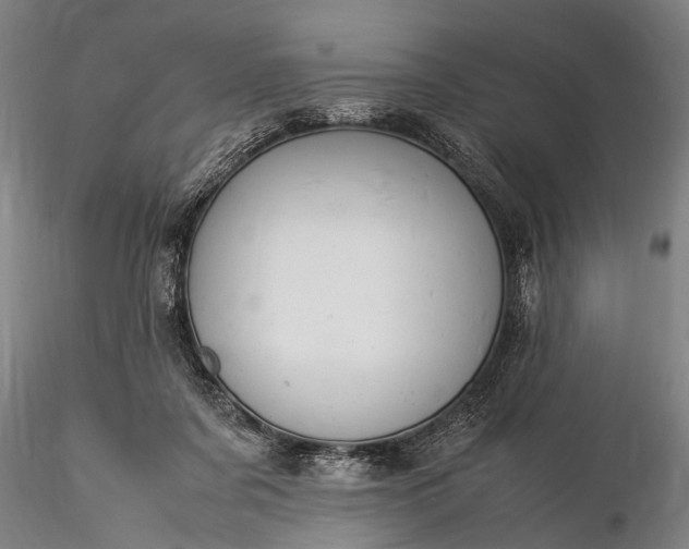 X0000116370311200912161444