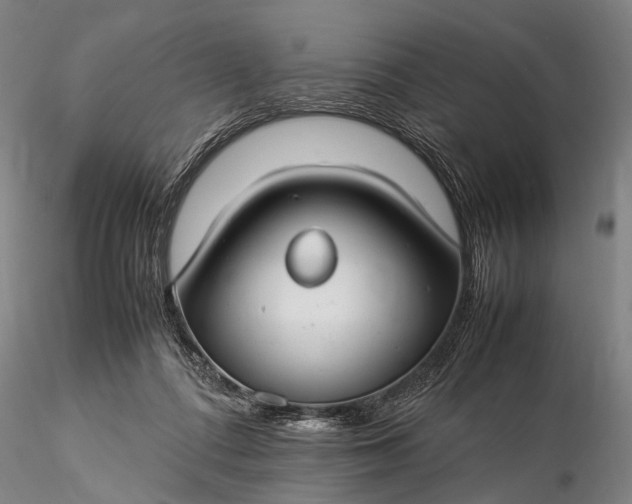 X0000116370312200912161444