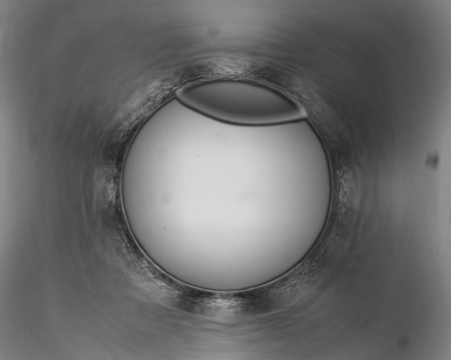 X0000116370313200912161444