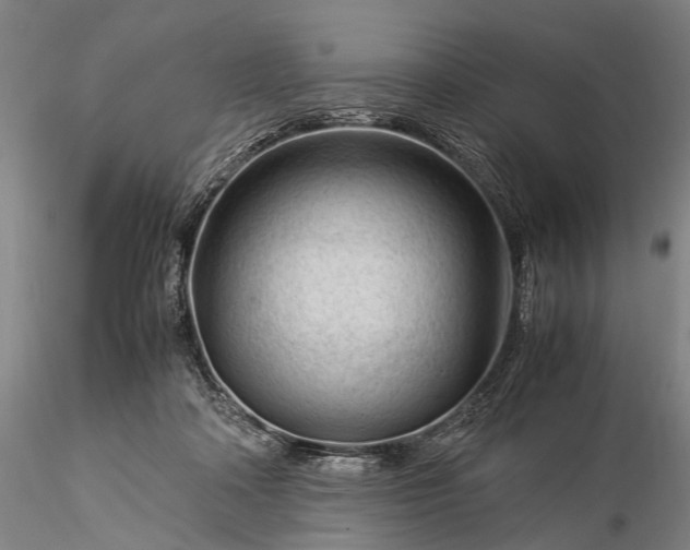 X0000116370314200912161444