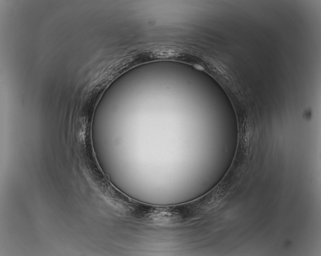 X0000116370315200912161444