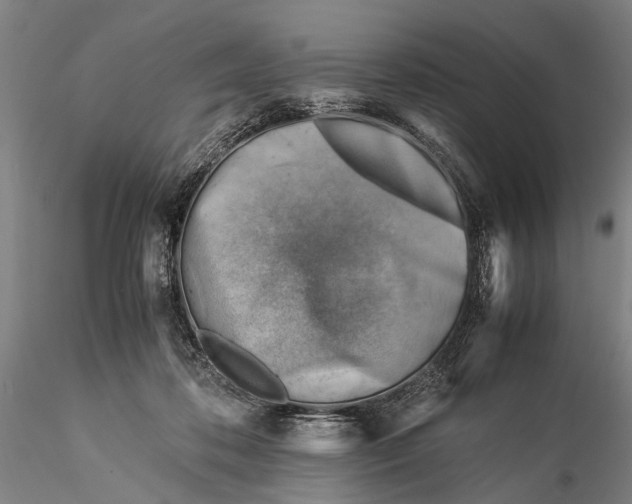 X0000116370316200912161444