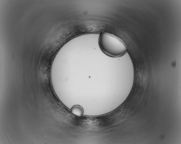 X0000116370317200912161444