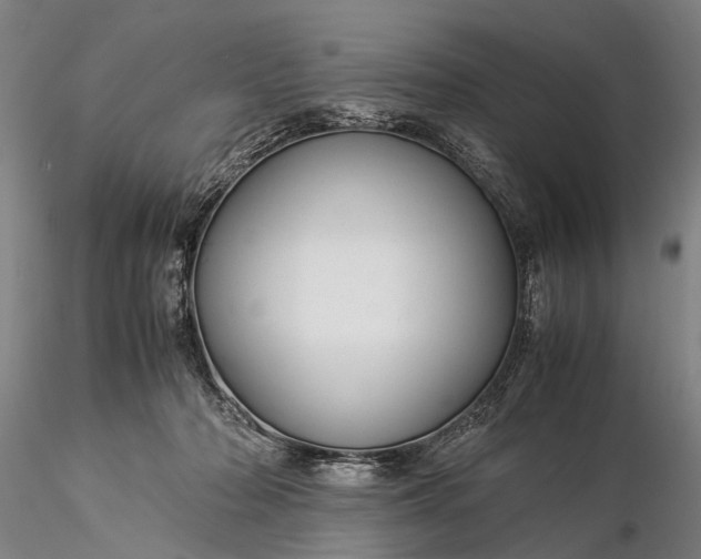 X0000116370318200912161444