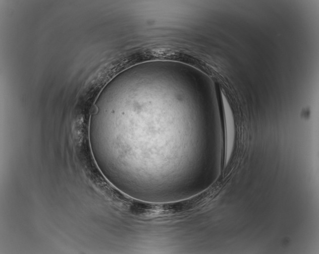 X0000116370319200912161444