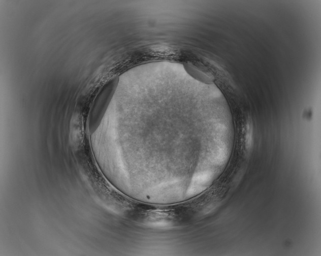 X0000116370320200912161444