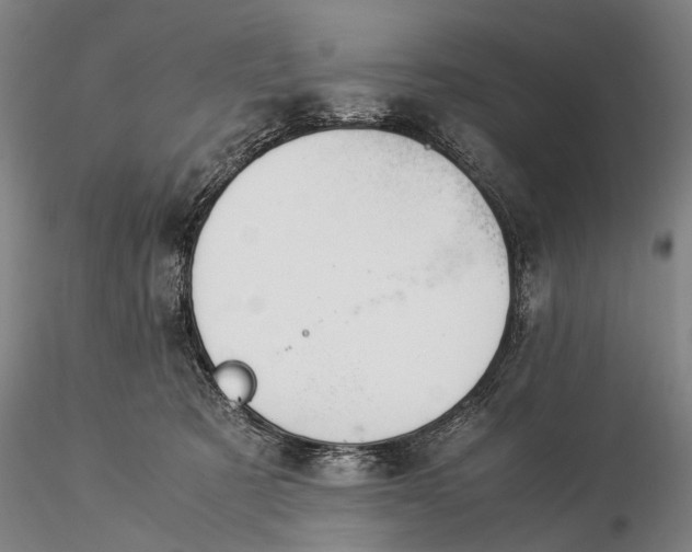 X0000116370321200912161444