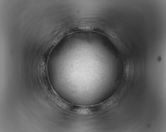 X0000116370322200912161444