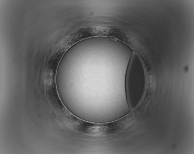 X0000116370323200912161444