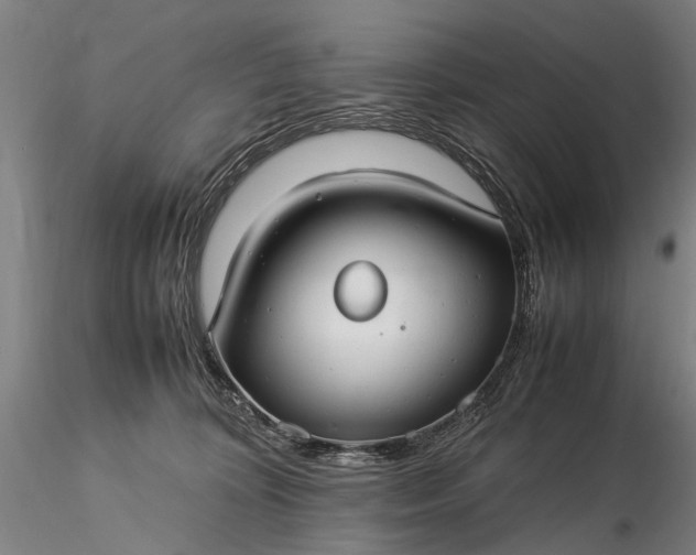 X0000116370324200912161444