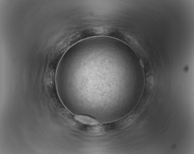 X0000116370325200912161444