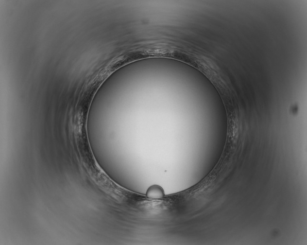 X0000116370326200912161444