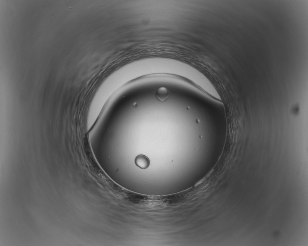 X0000116370327200912161444