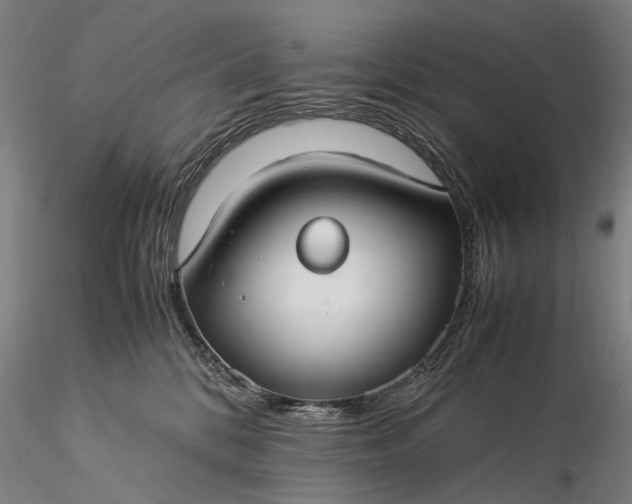 X0000116370328200912161444