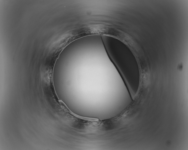 X0000116370329200912161444