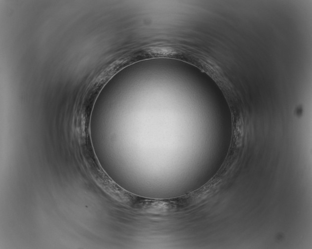 X0000116370330200912161444