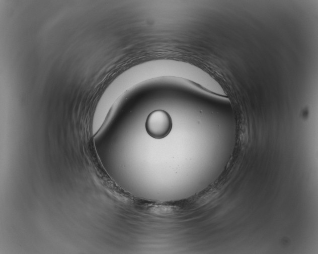 X0000116370332200912161444