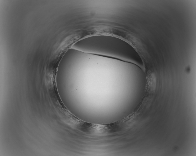 X0000116370333200912161444