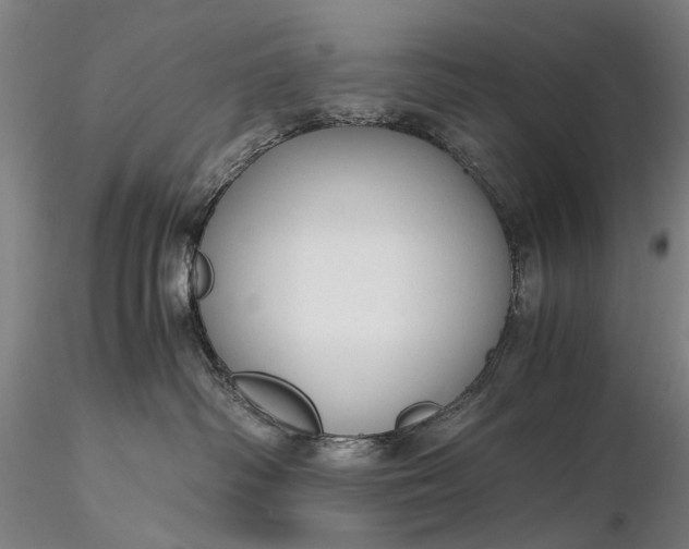 X0000116370334200912161444