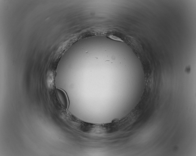 X0000116370335200912161444