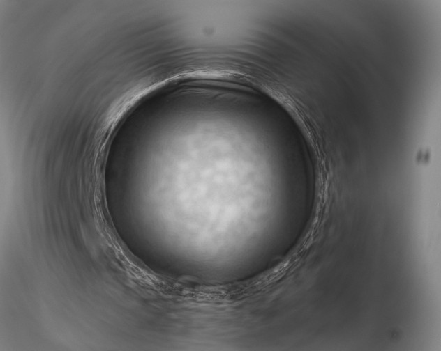 X0000116370337200912161443