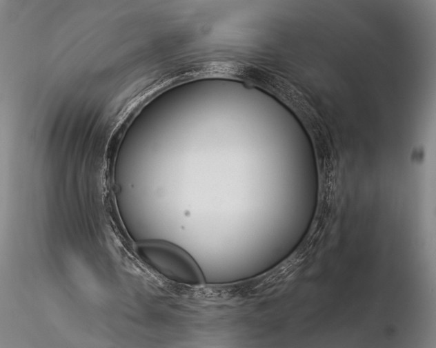 X0000116370338200912161443