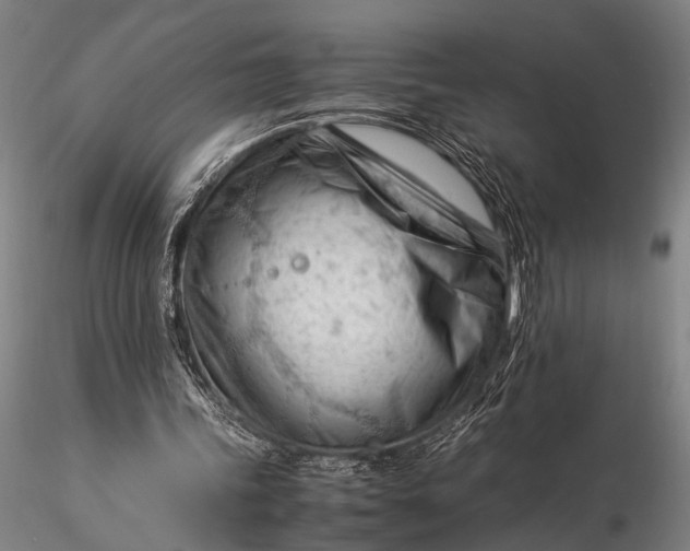 X0000116370339200912161443