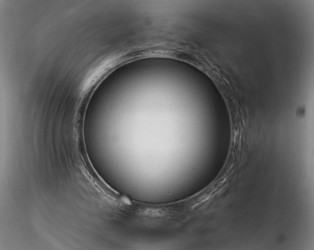 X0000116370341200912161443