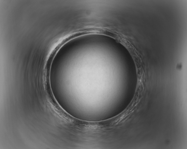 X0000116370342200912161443