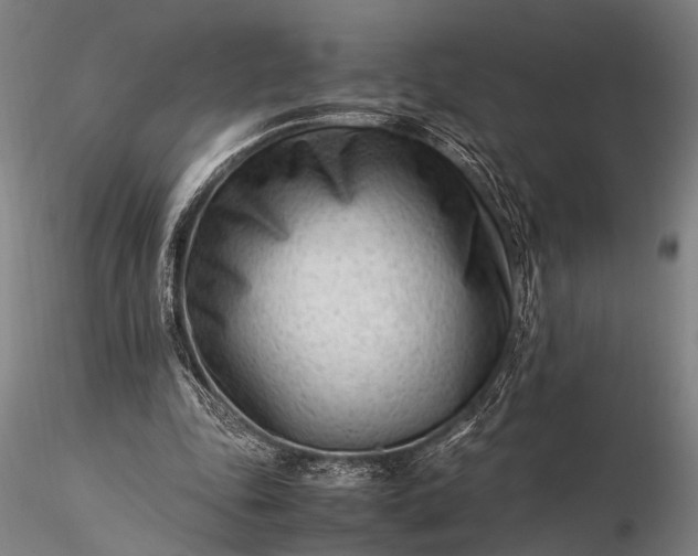 X0000116370343200912161443