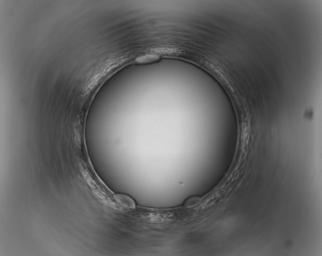 X0000116370345200912161443