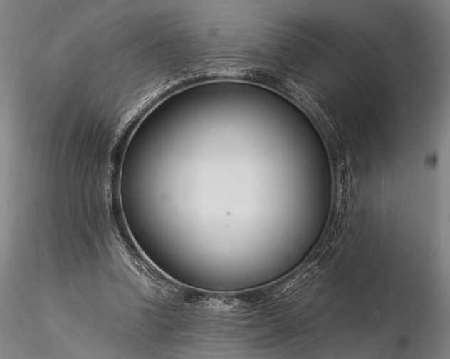 X0000116370346200912161443