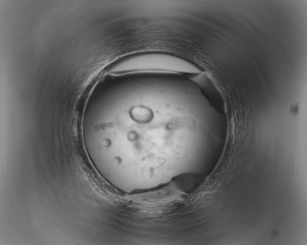 X0000116370347200912161443