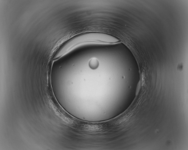 X0000116370349200912161443