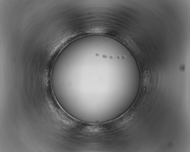 X0000116370351200912161443