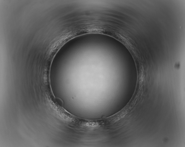 X0000116370353200912161443